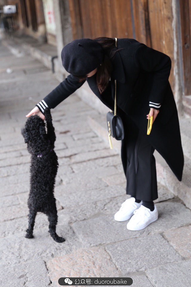 古镇寻肉记：那些旅行中遇见的植物！