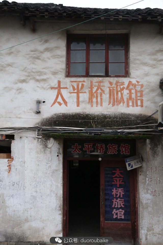 古镇寻肉记：那些旅行中遇见的植物！