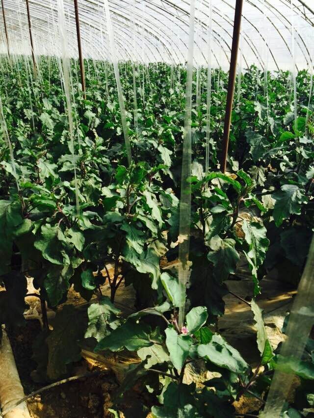 走吗约起之——外滩风气西餐咖啡。各位您约了吗？我在太原尖草坪