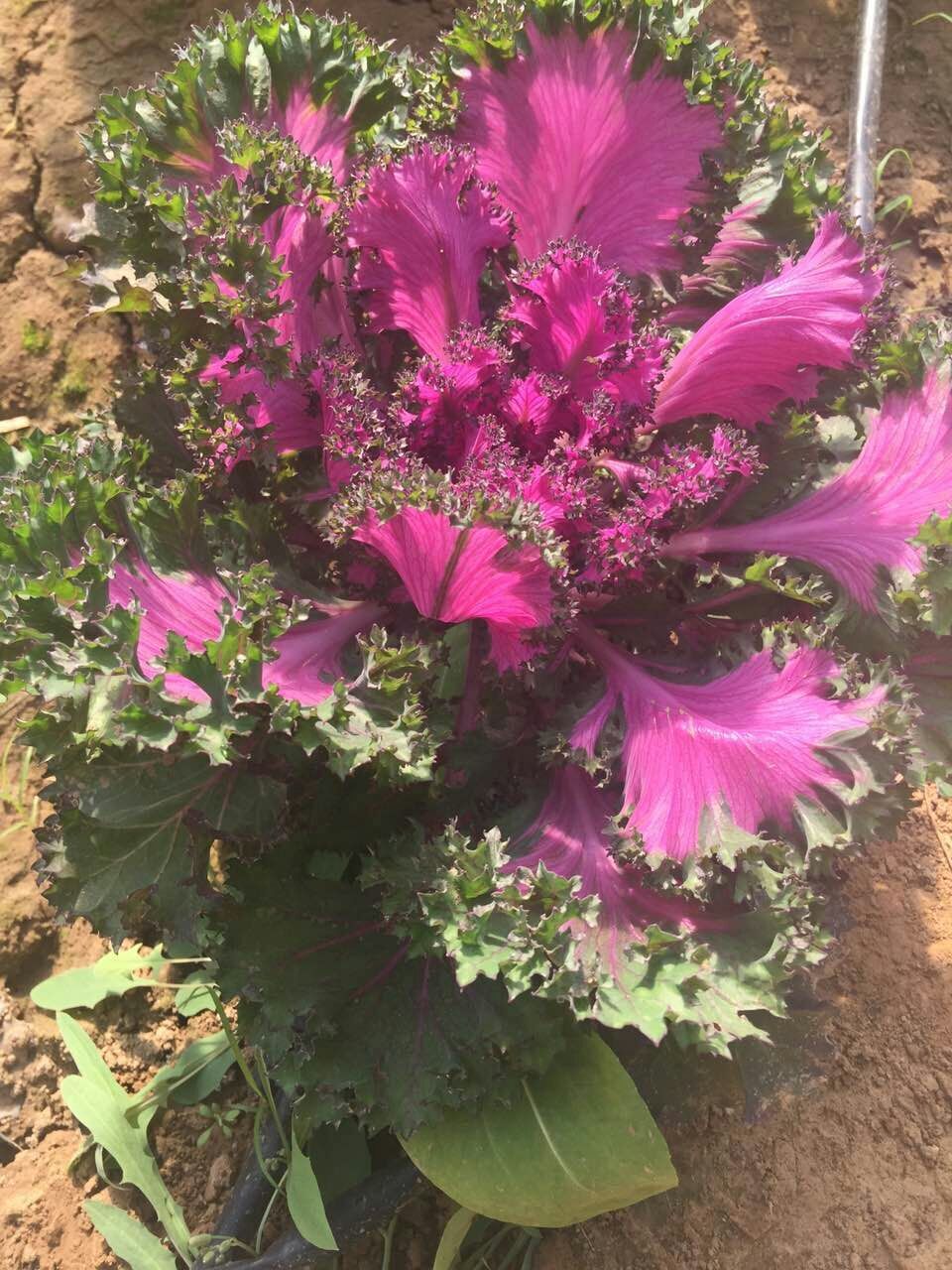 走吗约起之——外滩风气西餐咖啡。各位您约了吗？我在太原尖草坪