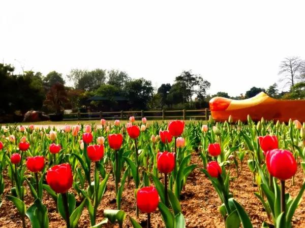 从东莞出发,不到两小时,就能够感受到靓爆灯的童话世界！