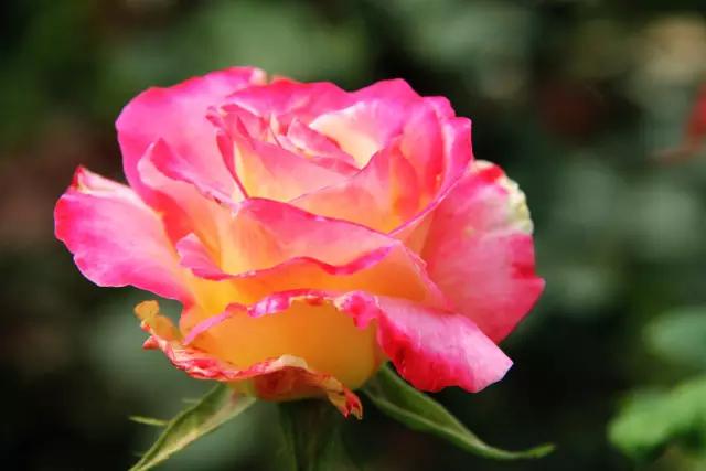 从东莞出发,不到两小时,就能够感受到靓爆灯的童话世界！