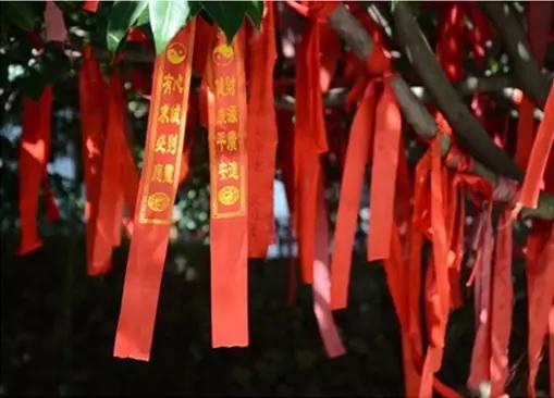 从东莞出发,不到两小时,就能够感受到靓爆灯的童话世界！