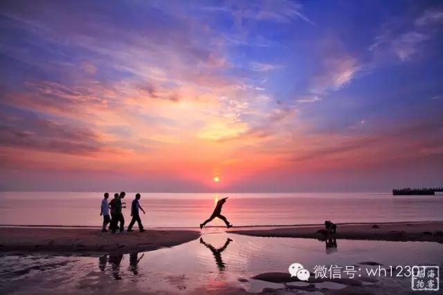 威海有毒海洋生物,威海有毒的海鱼