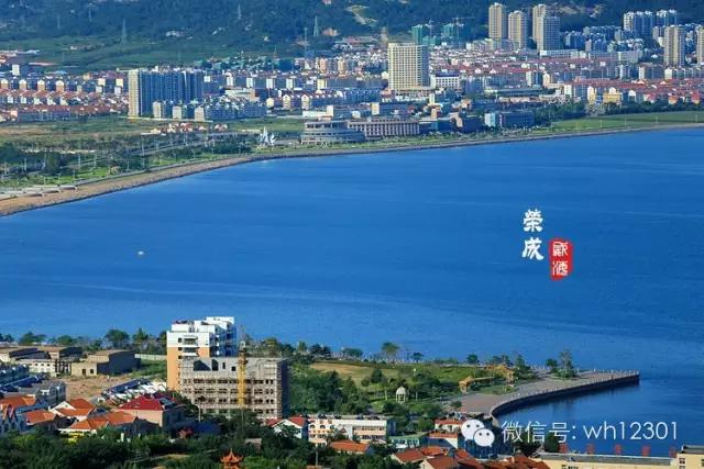 威海有毒海洋生物,威海有毒的海鱼