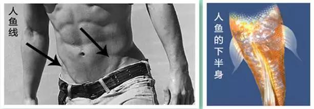 星爷美人鱼好看吗,评价星爷的美人鱼