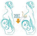 分娩预兆有哪些,啥叫分娩前的预兆