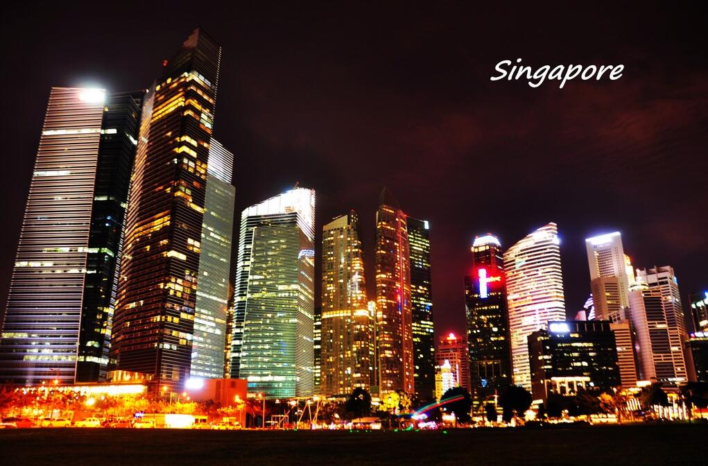 新加坡来华旅游签证要什么资料,新加坡旅游签证能够二次入境吗