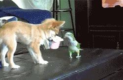 没其他想说的，今天周末，大家耍开心就好!