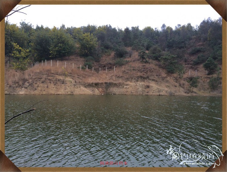 冷雨咬钩,冷雨钓鱼钓多深