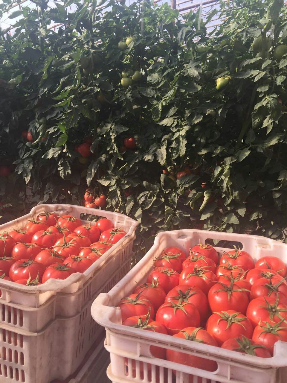 走吗约起之——外滩风气西餐咖啡。各位您约了吗？我在太原尖草坪