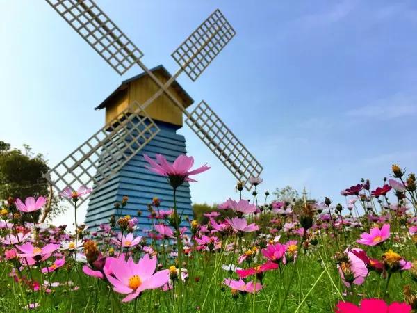 从东莞出发,不到两小时,就能够感受到靓爆灯的童话世界！