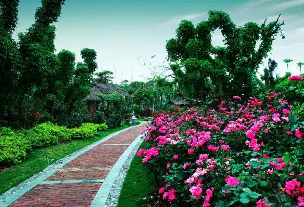 从东莞出发,不到两小时,就能够感受到靓爆灯的童话世界！