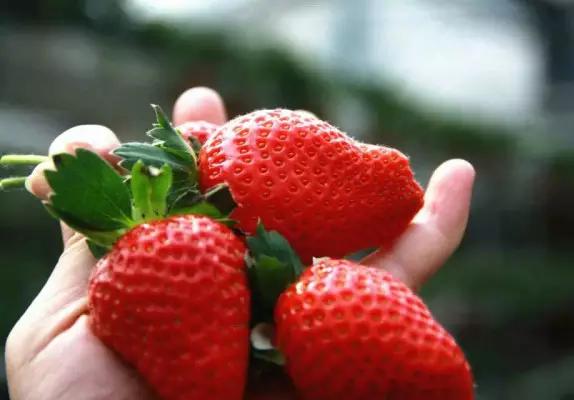 从东莞出发,不到两小时,就能够感受到靓爆灯的童话世界！