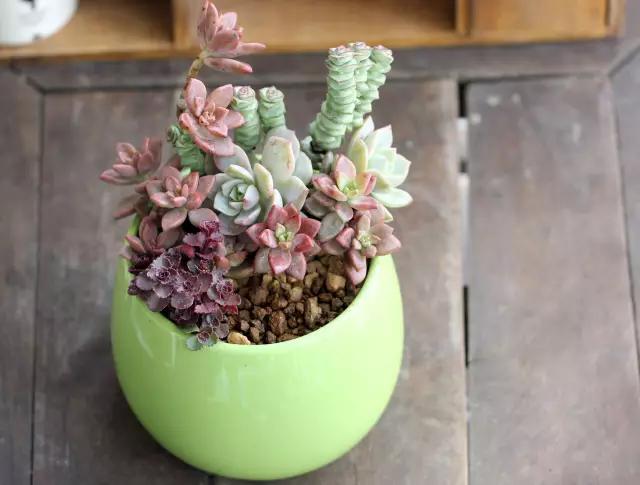 从东莞出发,不到两小时,就能够感受到靓爆灯的童话世界！