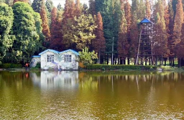 哪里飞武汉机票最便宜,飞武汉机票降价