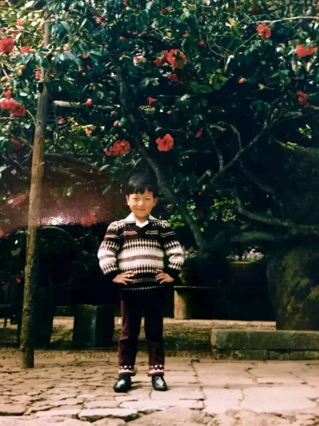 丽江人的朋友圈被这篇《似水流年》刷屏了，完全泪崩！