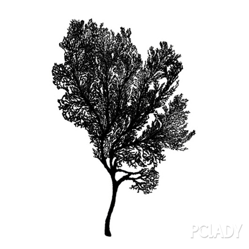 护肤产品黄金油,护肤黄金油