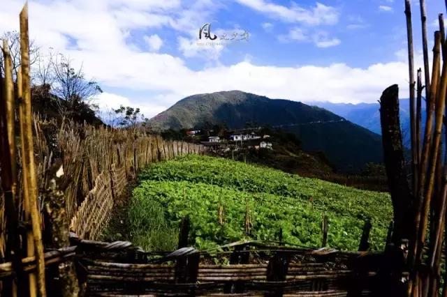 逃离雾霾最好的地方是哪里,逃离雾霾去哪里