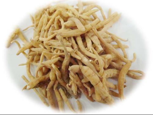 孩儿参可用人参代用吗,孩儿参的禁忌