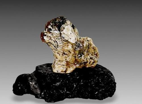 你知道为什么奇石长得像方角石呢,这18块奇石能够称为顶级奇石