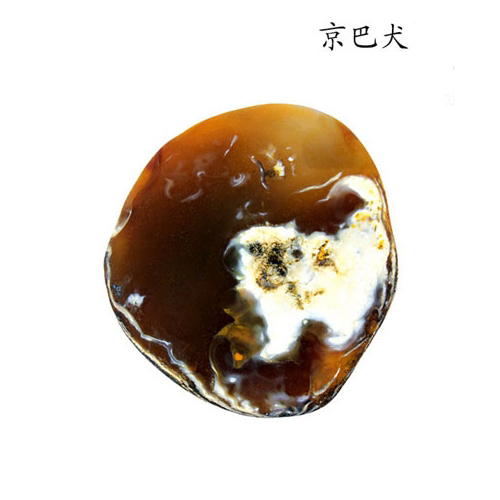 你知道为什么奇石长得像方角石呢,这18块奇石能够称为顶级奇石