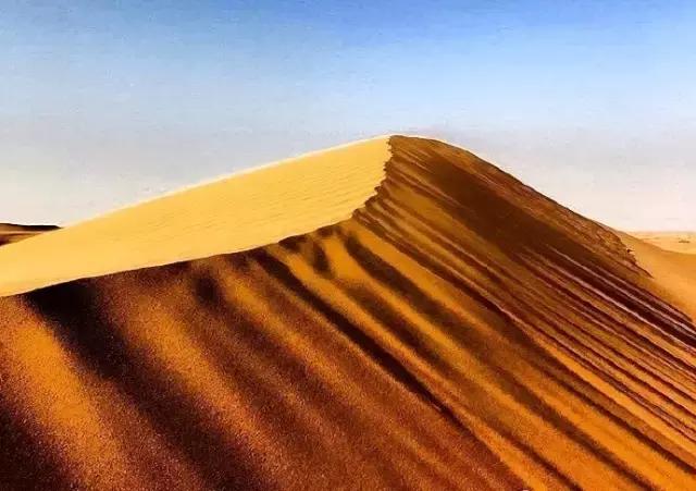 在迪拜体验旅游,沉浸式旅游迪拜