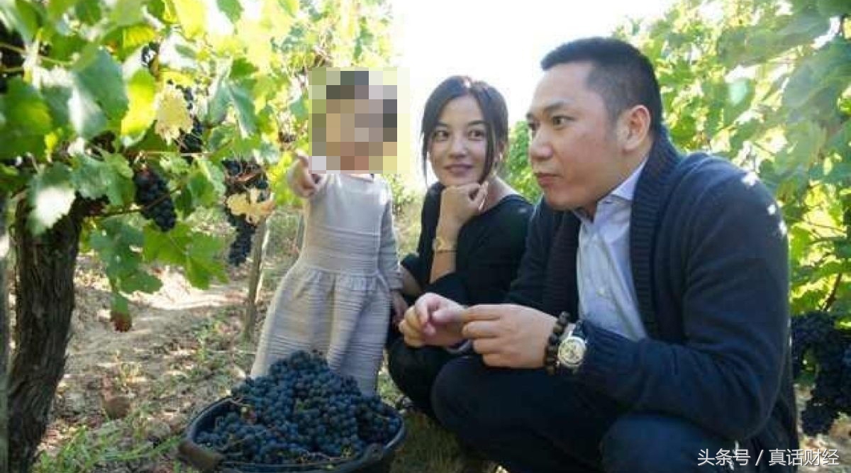黄有龙赵薇事件的来龙去脉,黄有龙和赵薇资产