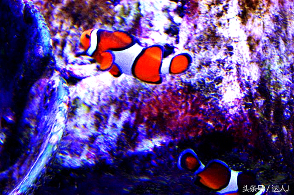 沙漠上的超级绿洲迪拜,迪拜沙漠上的豪华之都