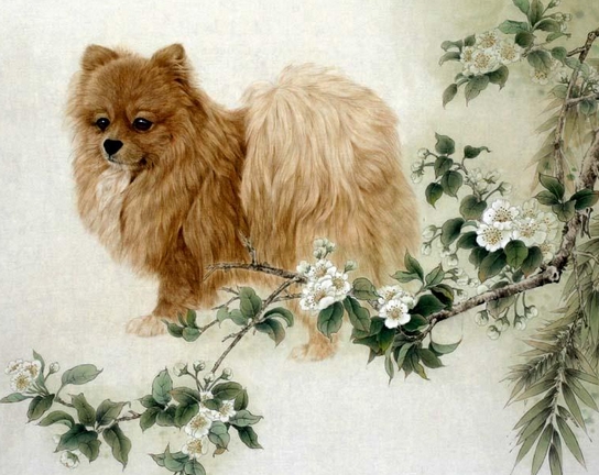 1982年狗2024年犯太岁如何化解,1982年狗2024年犯太岁化解