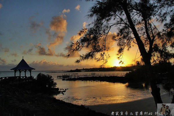 在外国街头演唱中国乐器,在外国街头演奏市集音乐