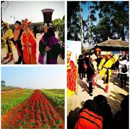 清远最美的花海在什么景点,广东清远花海风景