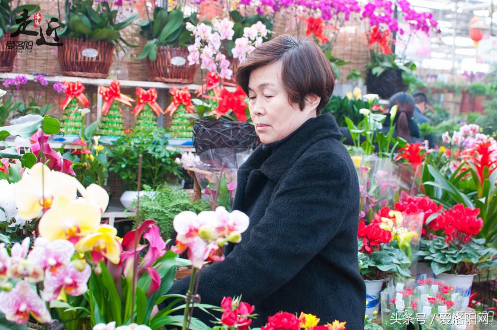 洛阳新区年货批发市场,洛阳老城年货市场