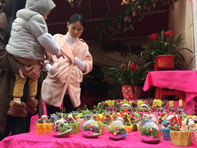南海迎春花市活动介绍,去逛花卉市场买多肉