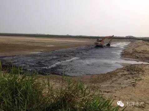 虾海鱼如何混养,海水鱼虾混养最佳模式