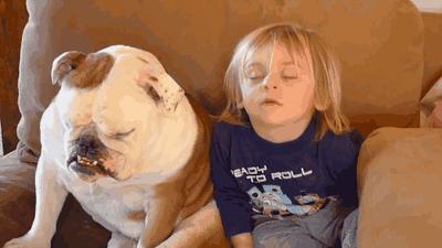 推荐一些能迅速起床的闹钟铃声,怎么搞闹钟一响就睡不着的铃声