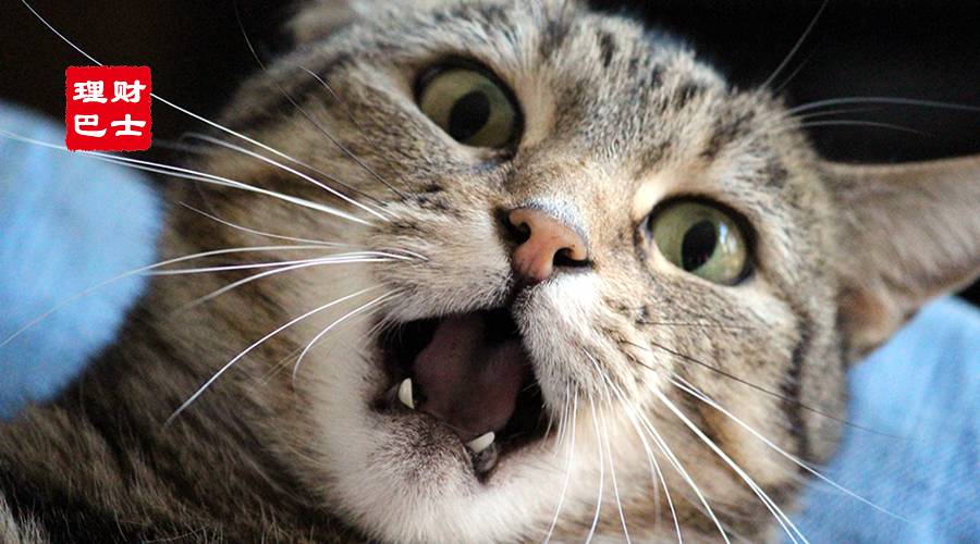 被自己的账单震惊了,被支付宝年度账单吓坏