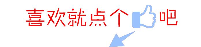 佛山哪里有体育小学高明,佛山哪里有免费的学校