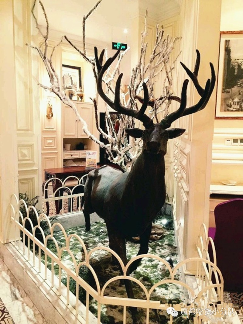 上海美食打卡必去的地方排名,上海万象城美食排行榜前十名