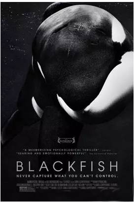 它的死，是给人类一记响亮的耳光