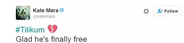 它的死，是给人类一记响亮的耳光