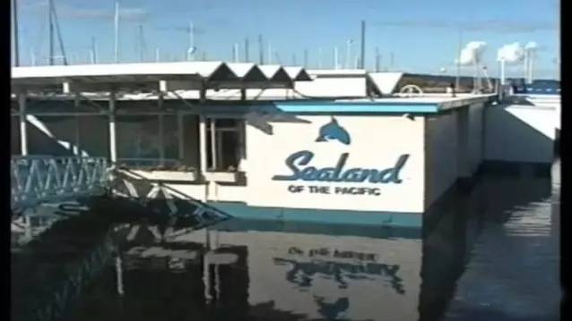 它的死，是给人类一记响亮的耳光