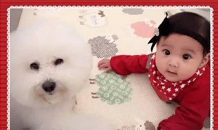 八一八贾静雯家的咘咘的吃喝拉撒用品