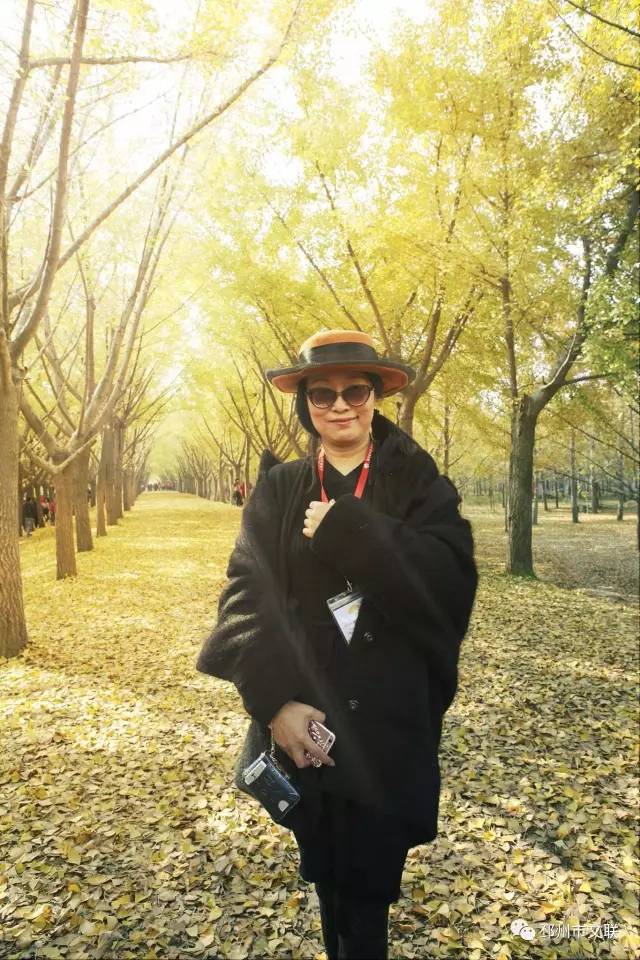 邳州银杏画欣赏,邳州银杏拍照视频