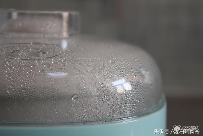 生活元素h1炖盅内胆,生活元素电煮锅测评