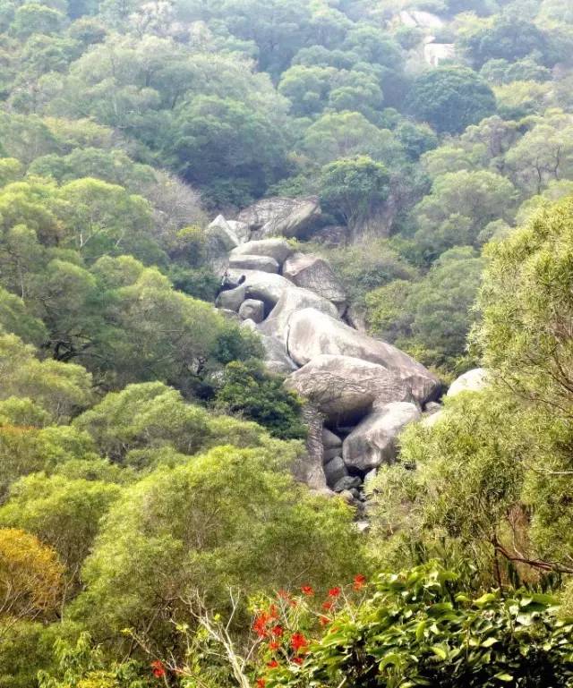 厦门能够爬的山有哪些地方,厦门这些景点你都去过吗