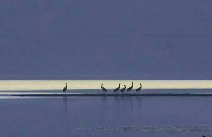 给摄影爱好者的十二条摄影经验,看完这组摄影作品你还淡定吗