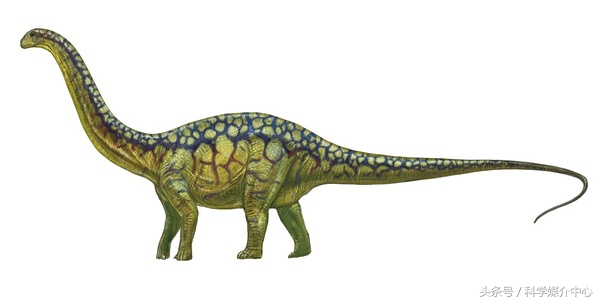 食草恐龙有什么种类,中国棘龙科恐龙种类