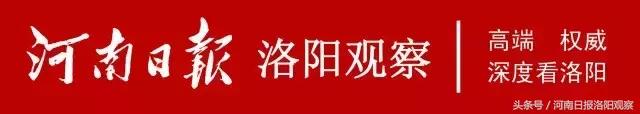 新闻回访∣看洛阳高新区如何引领自主创新？