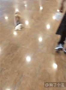 斗地主发牌机多少钱一台,发牌机玩斗地主